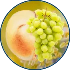 ViNitrox Grape and Malus Pumila Extract