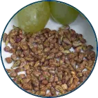 Grape Seed Extract